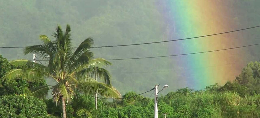 Soutien à La Réunion face au cyclone Garance